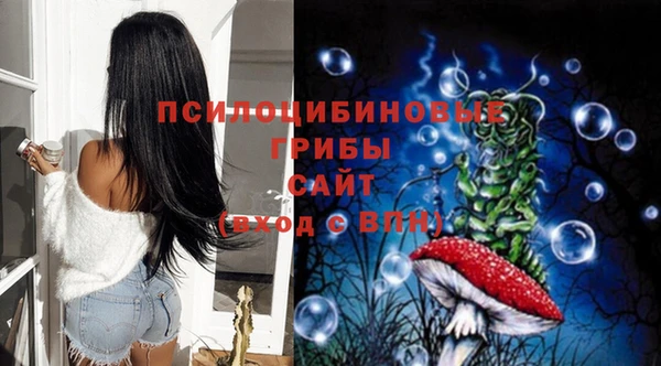 крисы Аркадак
