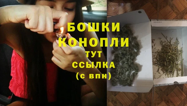 крисы Аркадак