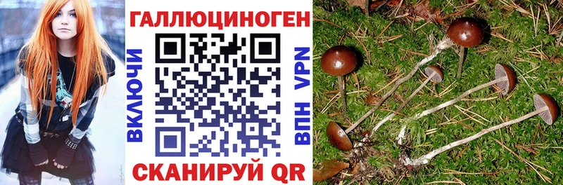 Псилоцибиновые грибы мицелий  Орёл 